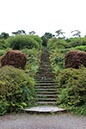 %_tempFileNameIerland-27%20Bantry%20en%20Forest-34-1%