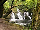 %_tempFileNameIerland-27%20Bantry%20en%20Forest-70-1%
