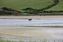 %_tempFileNameIerland-28%20Mizen%20en%20Dunlough-01%