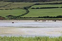 %_tempFileNameIerland-28%20Mizen%20en%20Dunlough-02%