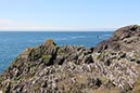 %_tempFileNameIerland-28%20Mizen%20en%20Dunlough-09%