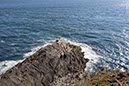 %_tempFileNameIerland-28%20Mizen%20en%20Dunlough-87%