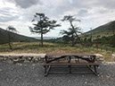 %_tempFileNameIerland-02%20Tollymore-05-1%