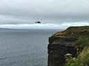 %_tempFileNameIerland-14%20Cliffs%20of%20Moher-36-1-1%