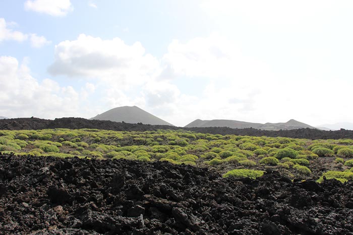 %_tempFileNameLan04-Timanfaya%20national%20parc-07%