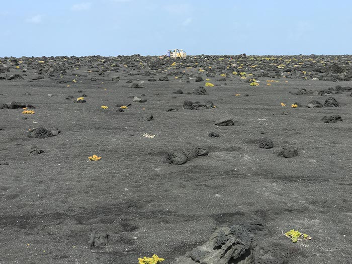 %_tempFileNameLan04-Timanfaya%20national%20parc-32%