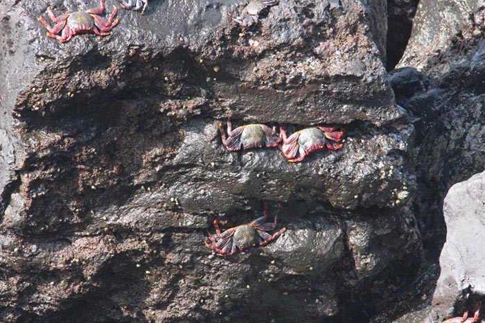 %_tempFileNameLan04-Timanfaya%20national%20parc-45%
