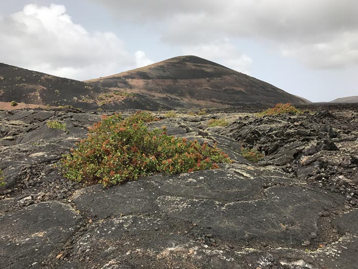 %_tempFileNameLan05-Caldera%20Colorado-28%