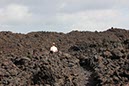 %_tempFileNameLan04-Timanfaya%20national%20parc-19%