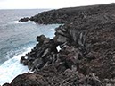 %_tempFileNameLan04-Timanfaya%20national%20parc-24%