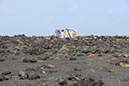 %_tempFileNameLan04-Timanfaya%20national%20parc-34%