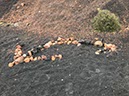 %_tempFileNameLan05-Caldera%20Colorado-32%
