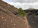 %_tempFileNameLan05-Caldera%20Colorado-33%