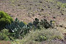 %_tempFileNameLan08-Famara-05%