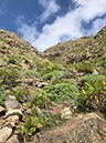 %_tempFileNameLan08-Famara-11%