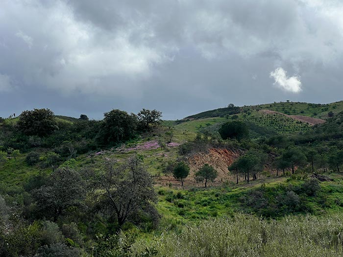 %_tempFileNameAltura08-Barranco-19%