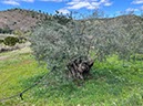 %_tempFileNameAltura05-Odeleite-10%