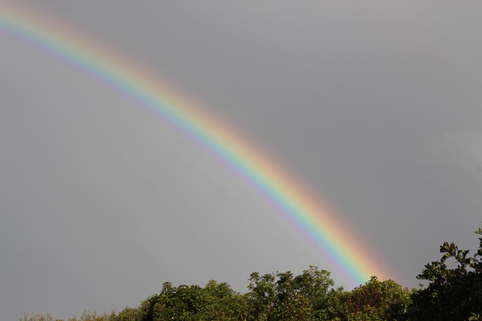 %_tempFileNameAus17-11%20Rainbow%20beach-40%