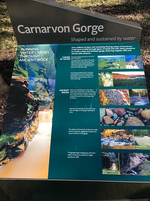 %_tempFileNameAus17-18%20Carnarvon%20Gorge-03%