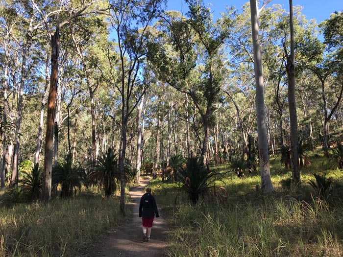 %_tempFileNameAus17-18%20Carnarvon%20Gorge-08%
