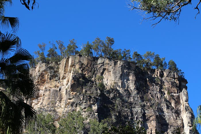 %_tempFileNameAus17-18%20Carnarvon%20Gorge-10%