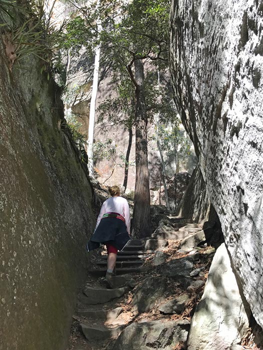 %_tempFileNameAus17-18%20Carnarvon%20Gorge-19%