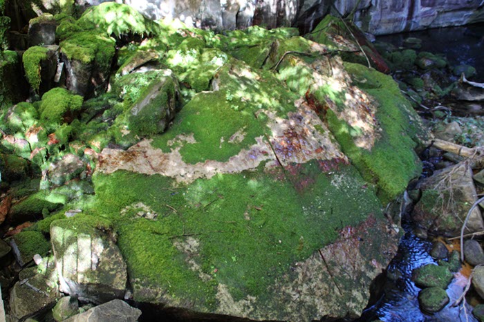 %_tempFileNameAus17-18%20Carnarvon%20Gorge-73%