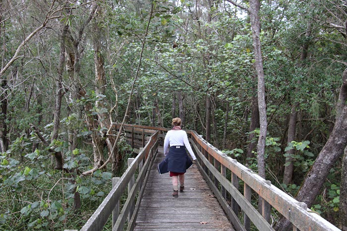 %_tempFileNameAus17-07%20Boreen%20Point%20walk-28%