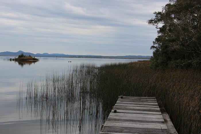 %_tempFileNameAus17-07%20Boreen%20Point%20walk-32%