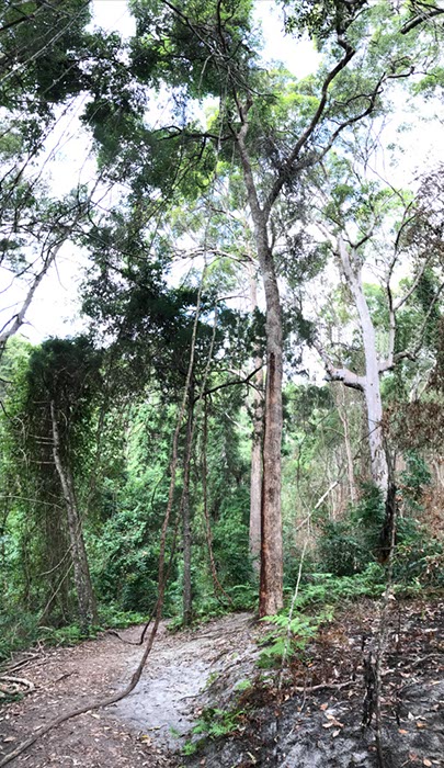 %_tempFileNameAus17-08%20Mooloolaba-28%