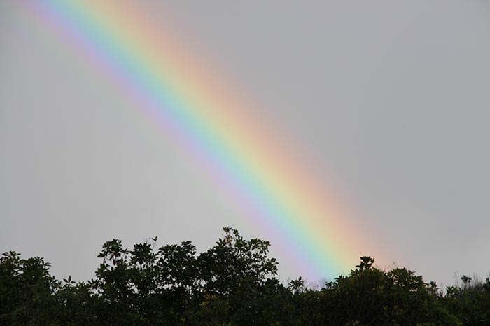 %_tempFileNameAus17-11%20Rainbow%20beach-35%