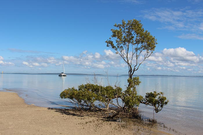%_tempFileNameAus17-13%20Fraser%20Island-28%