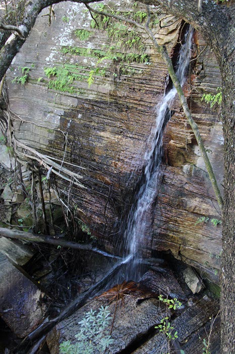 %_tempFileNameAus17-18%20Carnarvon%20Gorge-58%