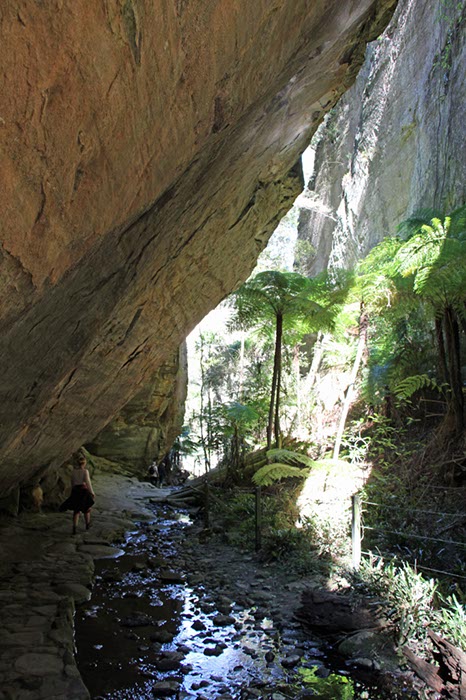 %_tempFileNameAus17-18%20Carnarvon%20Gorge-67%