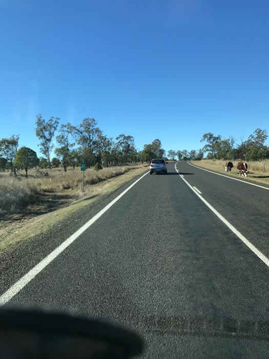 %_tempFileNameAus17-19%20Naar%20Stanthorpe-3%