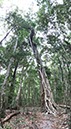 %_tempFileNameAus17-08%20Mooloolaba-27%