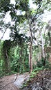 %_tempFileNameAus17-08%20Mooloolaba-28%