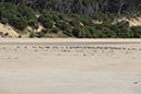%_tempFileNameAus17-11%20Rainbow%20beach-15%