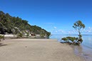%_tempFileNameAus17-13%20Fraser%20Island-25%