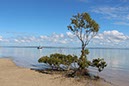 %_tempFileNameAus17-13%20Fraser%20Island-28%