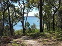 %_tempFileNameAus17-13%20Fraser%20Island-41%