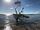 %_tempFileNameAus17-13%20Fraser%20Island-61%