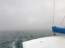 %_tempFileNameAus17-14%20Whale%20Watch-002%