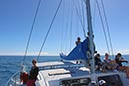 %_tempFileNameAus17-14%20Whale%20Watch-040%
