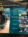 %_tempFileNameAus17-18%20Carnarvon%20Gorge-03%