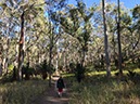 %_tempFileNameAus17-18%20Carnarvon%20Gorge-08%