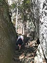 %_tempFileNameAus17-18%20Carnarvon%20Gorge-19%