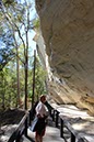 %_tempFileNameAus17-18%20Carnarvon%20Gorge-28%