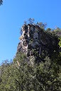 %_tempFileNameAus17-18%20Carnarvon%20Gorge-34%