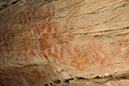 %_tempFileNameAus17-18%20Carnarvon%20Gorge-38%